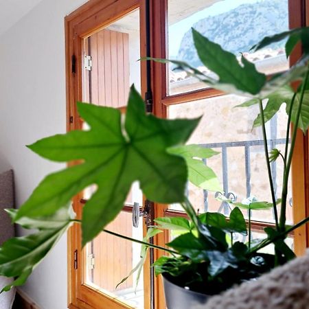 Casa Tramuntana Ξενοδοχείο Tautavel Εξωτερικό φωτογραφία